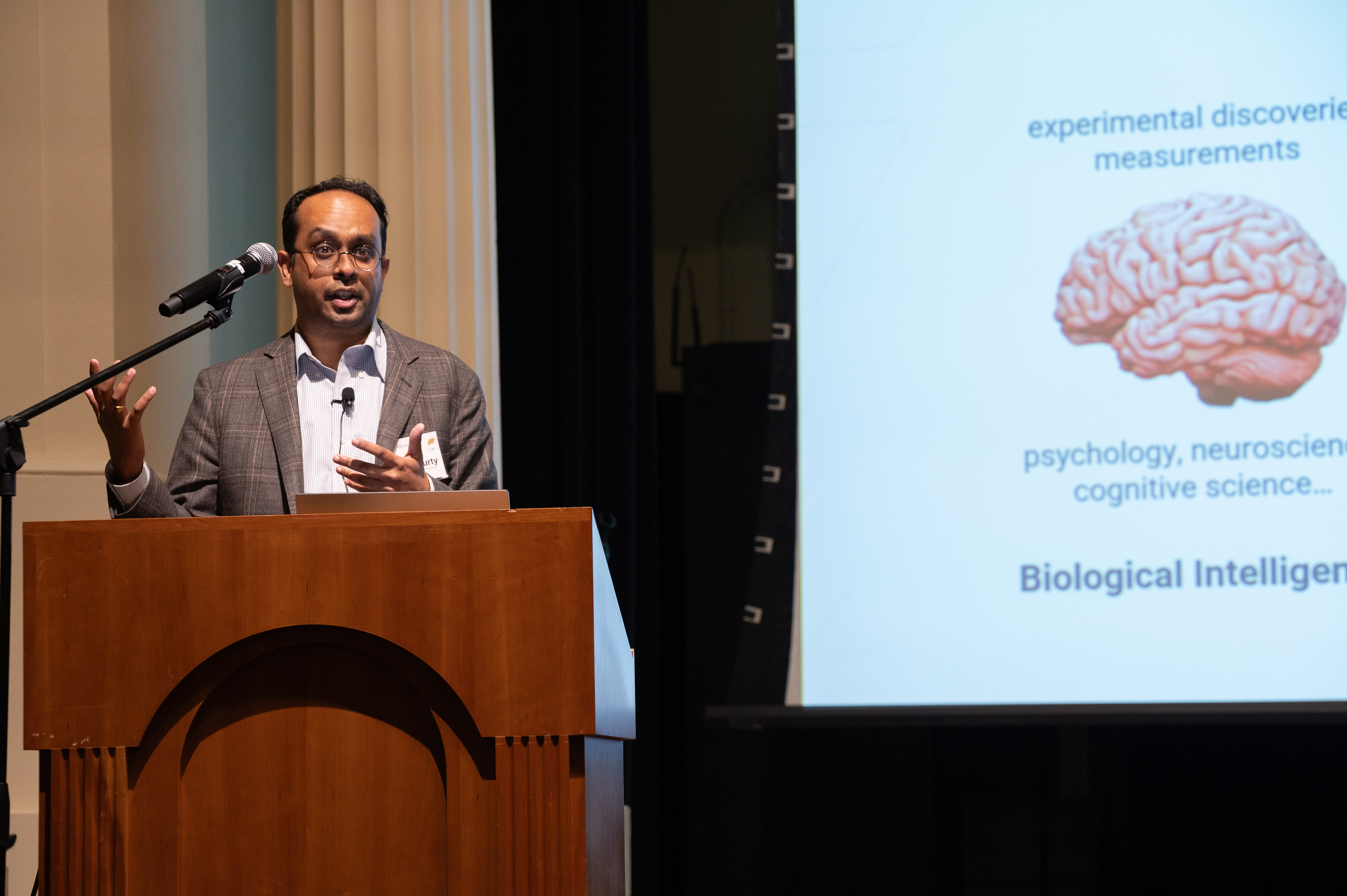 Ratan Murty, Assistant Professor in the School of Psychology