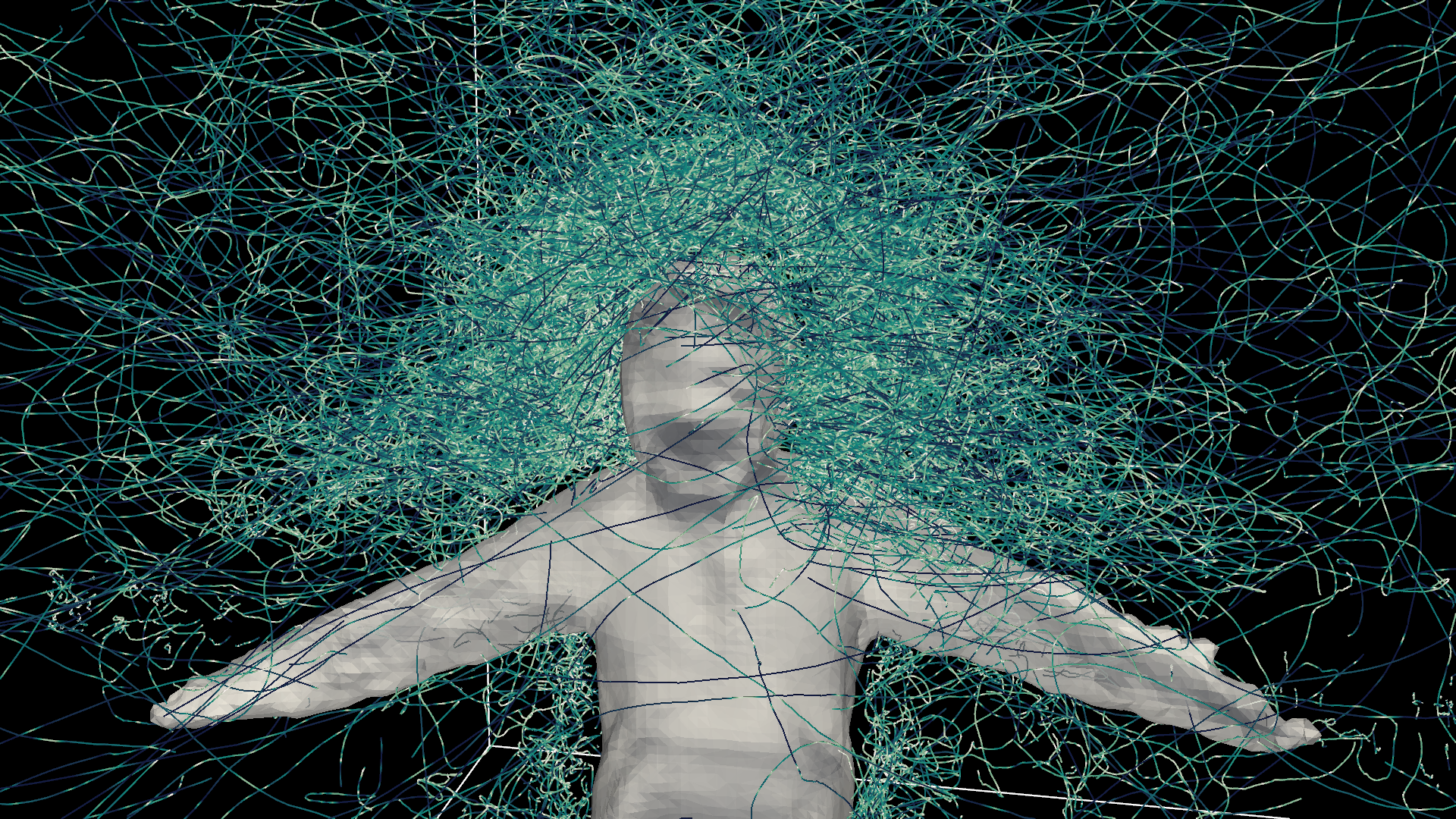 Trajectories of mosquitoes flying around a human target. David L. Hu, Georgia Tech