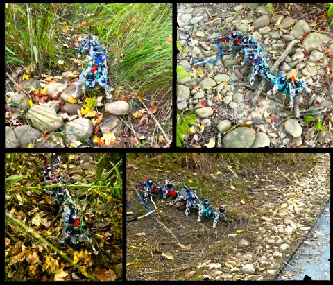 Crawling Faster Goldman Juntao Publication