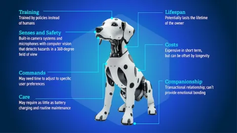 A graphic depicts design considerations for the prototype.