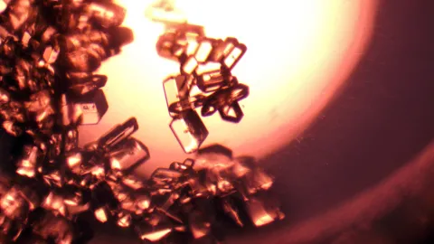 Glycine, one of the critical amino acids that the system coverts carbon dioxide into. (Image Credit: NASA)