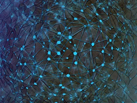 Mosaic Network