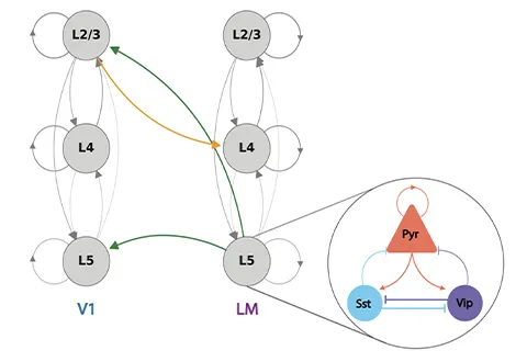 GaTech_Brain-Data_Hannanh-Choi_480x330.jpg