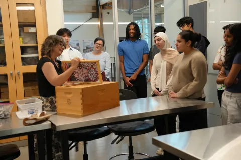 Lambert iGEM students and Leavey discuss different ideas to treat the mites that often spread deformed wing virus without harming the hive..