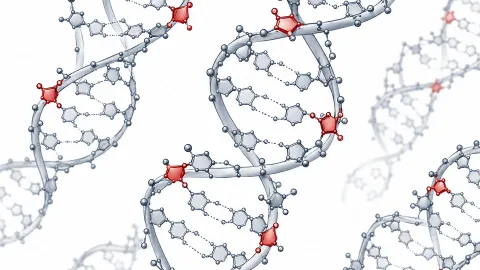 _0000_storici-ribonucleotides.jpg