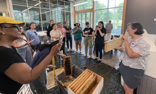 Beekeeper in Residence Deb DeWitt discusses important pollinators at Georgia Tech's Honeypalooza. 