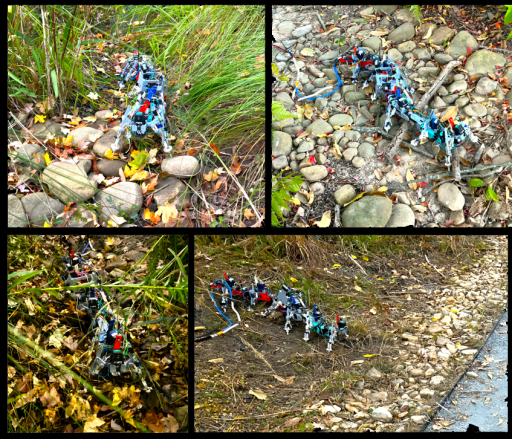 Crawling Faster Goldman Juntao Publication