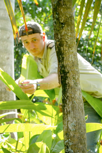 James Stroud catching lizards in the field. (Day’s Edge Productions)