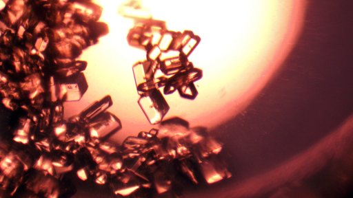 Glycine, one of the critical amino acids that the system coverts carbon dioxide into. (Image Credit: NASA)