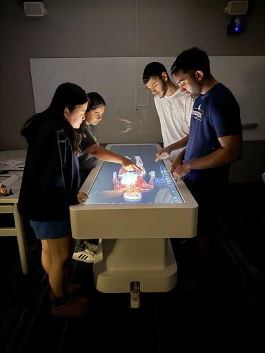 Preparing for careers in medicine, Yoojin Jeong (front left), Sameeha Lalani (back left), Yusuf Abdalla (back left),  and Rayhan Quaraishi (front left), dive into digital anatomy.