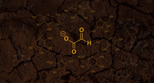 A new hypothesis states that the first sugars emerged from glyoxylate (pictured as the center molecule). In this hypothesis, glyoxylate first reacts with itself and then the byproducts from these reactions. Credit: Scripps Research and Unsplash