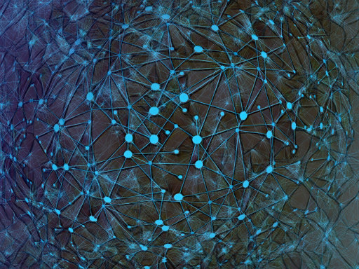 Mosaic Network