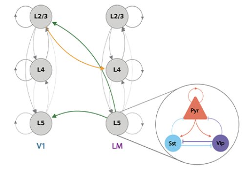 GaTech_Brain-Data_Hannanh-Choi_480x330.jpg