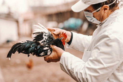 AdobeStock_272613329.png
