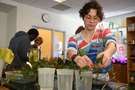 Students participate in the Plant Library. 