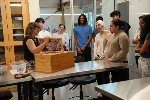 Lambert iGEM students and Leavey discuss different ideas to treat the mites that often spread deformed wing virus without harming the hive..