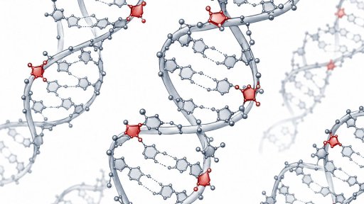 _0000_storici-ribonucleotides.jpg